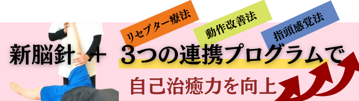 新脳針＋3つの連携プログラム